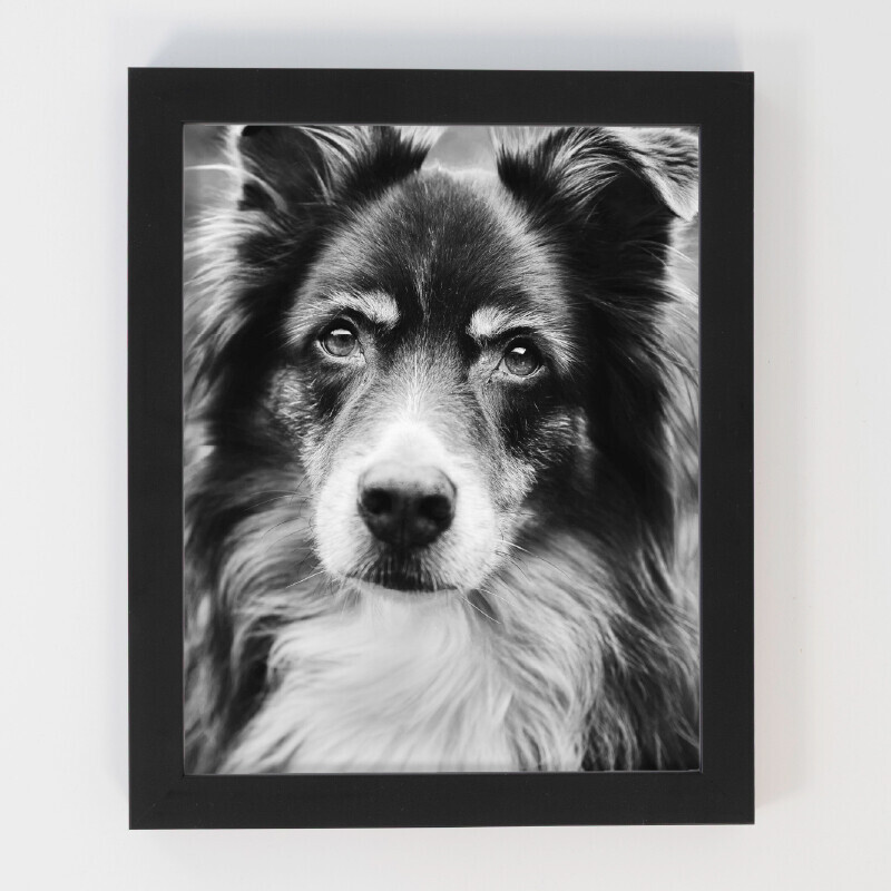 Pet Cremation Keepsake Memorial Pet Memorial Australia Product Framed Art Noir Black