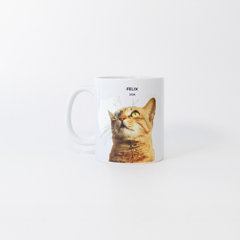 Pet Cremation Keepsake Memorial Pet Memorial Australia Product Mug Portrait